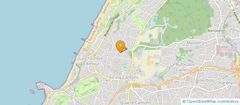 localisation de l'entreprise SCI CRAZY SHOP  ANGLET