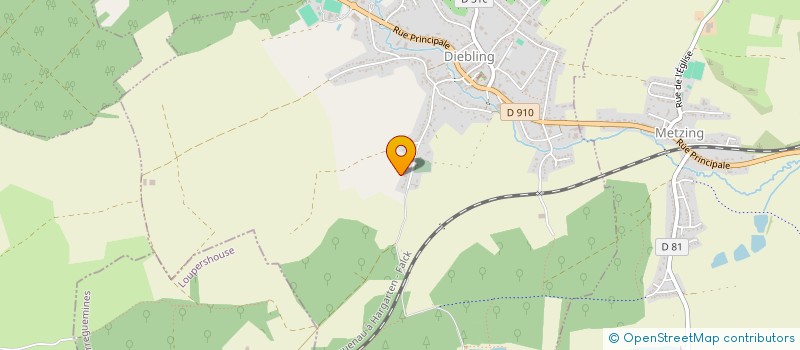 localisation de l'entreprise SCI CRC RINK  DIEBLING