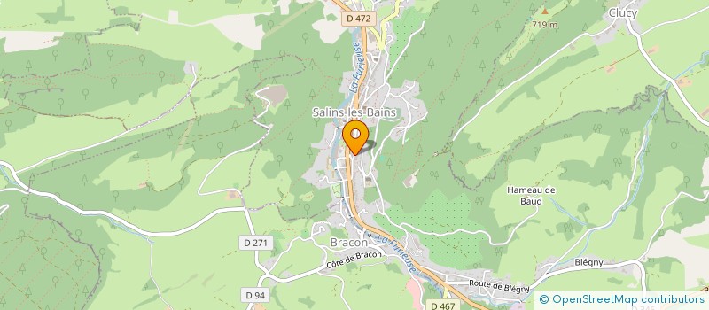 localisation de l'entreprise SCI D'ORGEMONT  SALINS-LES-BAINS