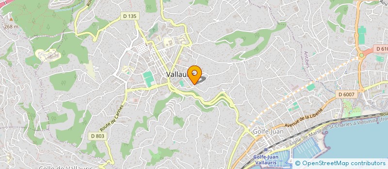 localisation de l'entreprise SCI DALET  VALLAURIS