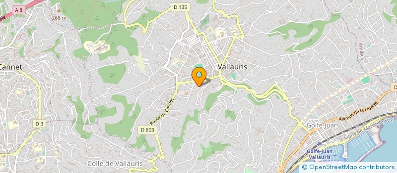 localisation de l'entreprise SCI DANIEL à VALLAURIS