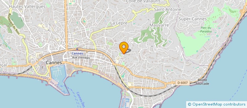 localisation de l'entreprise SCI DAVE DEV AMENAGER VALORISER EMBELLIR à CANNES