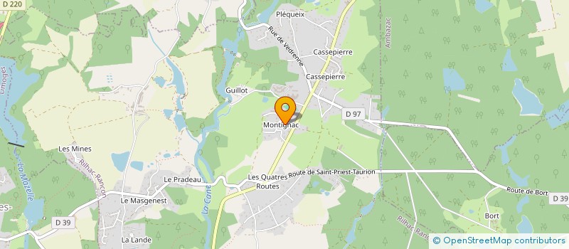 localisation de l'entreprise SCI DE L'ARGENTOR  RILHAC-RANCON