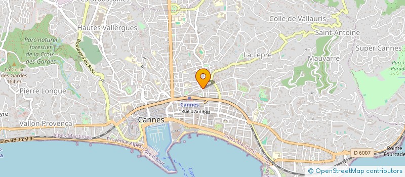 localisation de l'entreprise SCI DE L'AVENIR  CANNES
