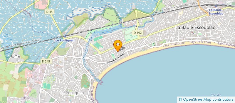 localisation de l'entreprise SCI DE L'AVENUE BETTINE  LA BAULE-ESCOUBLAC