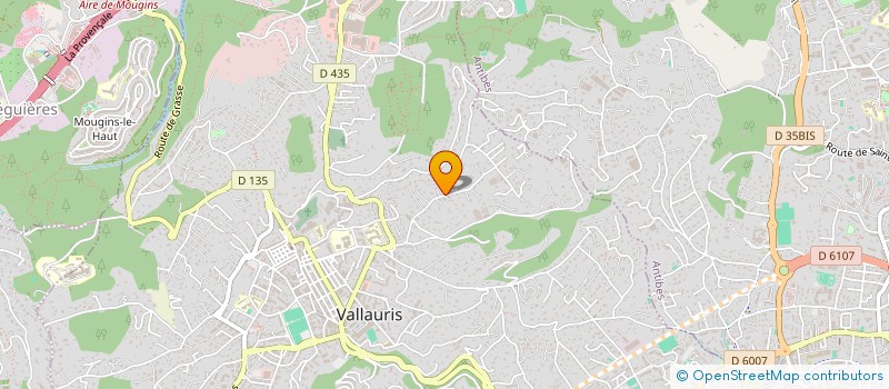 localisation de l'entreprise SCI DE L EPINE à VALLAURIS