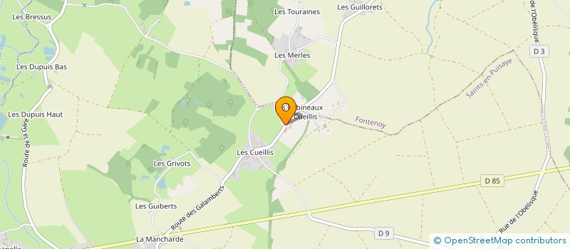 localisation de l'entreprise SCI DE L'ETANG  SAINTS-EN-PUISAYE