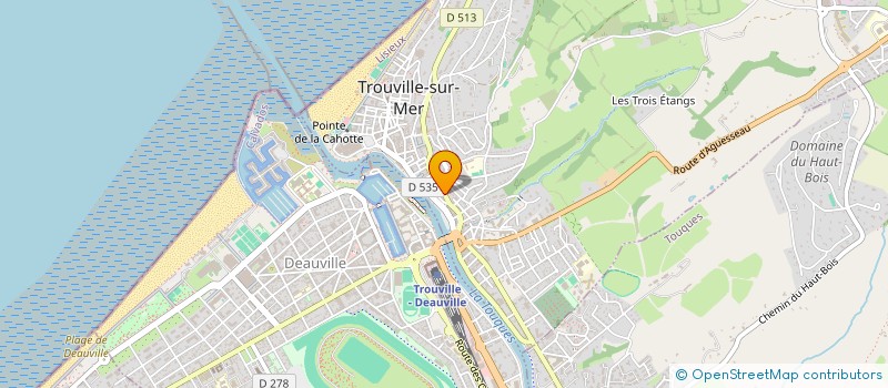 localisation de l'entreprise SCI DE L'OCEAN à TROUVILLE-SUR-MER