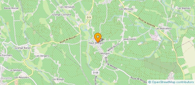 localisation de l'entreprise SCI DE LA BRANDERAIE  VILLIE-MORGON