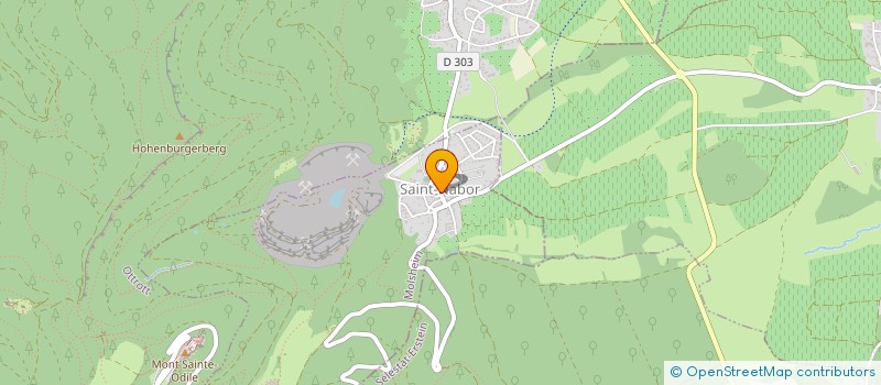 localisation de l'entreprise SCI  DE LA FAMILLE HOLLENDER  SAINT-NABOR