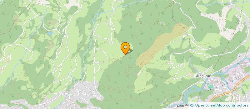 localisation de l'entreprise SCI DE LA MEDELLE  SAULXURES-SUR-MOSELOTTE