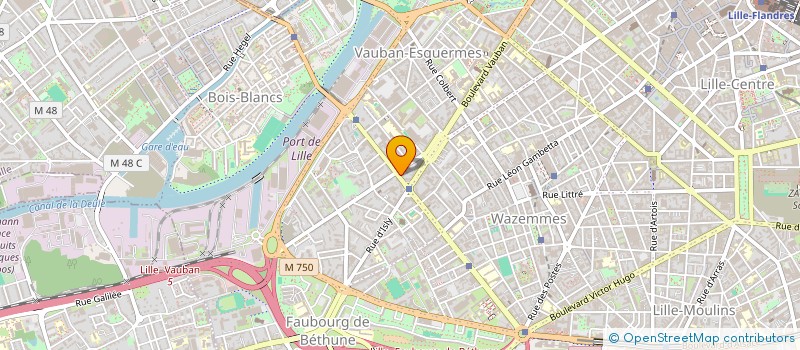 localisation de l'entreprise SCI DE LA RUE DE WAZEMMES à LILLE