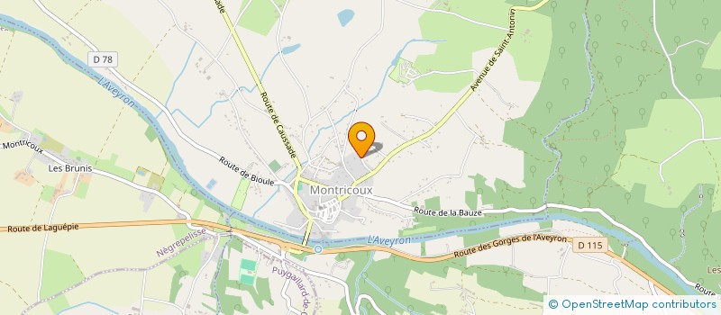 localisation de l'entreprise SCI DE LA VALLEE D'ANGENNES  MONTRICOUX