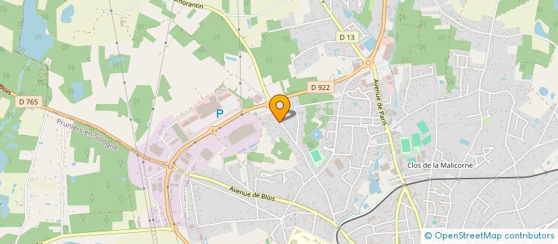 localisation de l'entreprise SCI DE SOUSA IMMO  ROMORANTIN-LANTHENAY