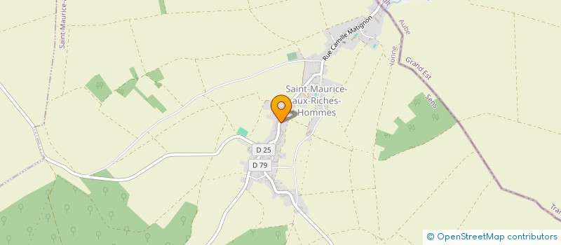 localisation de l'entreprise SCI DELANCY  SAINT-MAURICE-AUX-RICHES-HOMMES