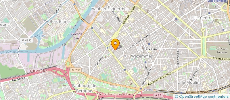 localisation de l'entreprise SCI DENSEG  LILLE