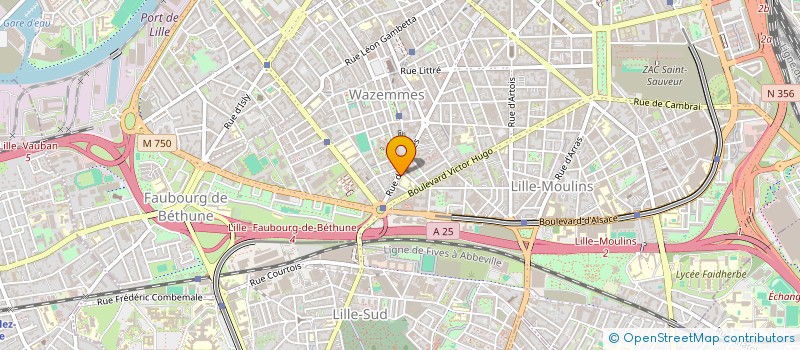 localisation de l'entreprise SCI DES 13 MOULINS à LILLE
