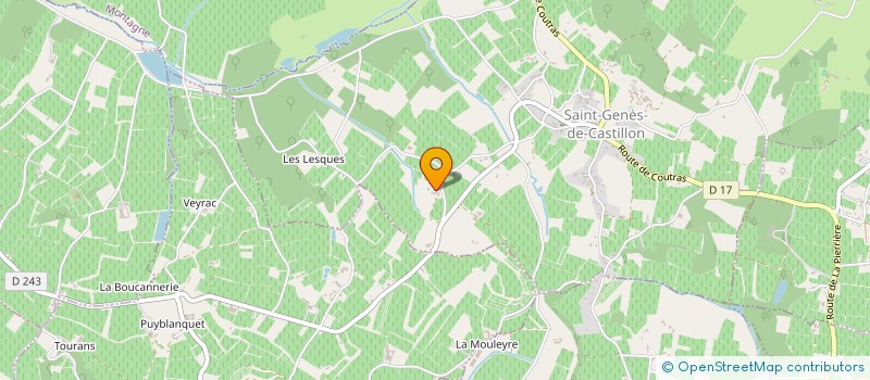 localisation de l'entreprise SCI DES 2 F  SAINT-GENES-DE-CASTILLON