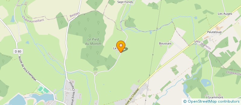 localisation de l'entreprise SCI DES AGRIS COUSINS  CHATEAUMEILLANT