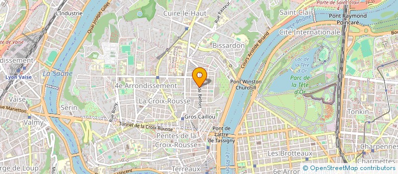 localisation de l'entreprise SCI DES ARTS DISPARUS  LYON