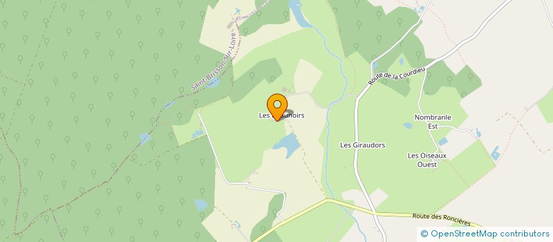 localisation de l'entreprise SCI DES BEAUX NOIRS à SAINT-FIRMIN-SUR-LOIRE