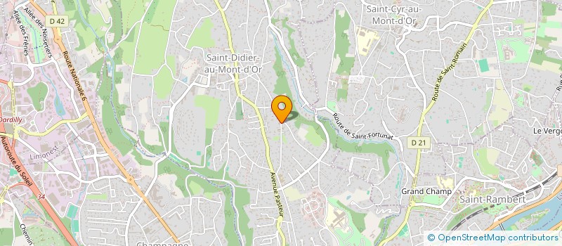 localisation de l'entreprise SCI DES BELGES  SAINT-DIDIER-AU-MONT-D'OR