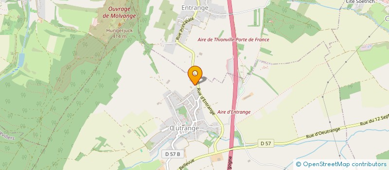 localisation de l'entreprise SCI DES CHENES à THIONVILLE