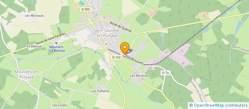 localisation de l'entreprise SCI DES CHIENS NOIRS à SAINT-SAUVEUR-EN-PUISAYE