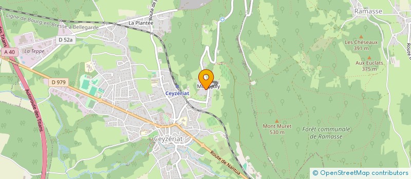 localisation de l'entreprise SCI DES CYGNES à CEYZERIAT