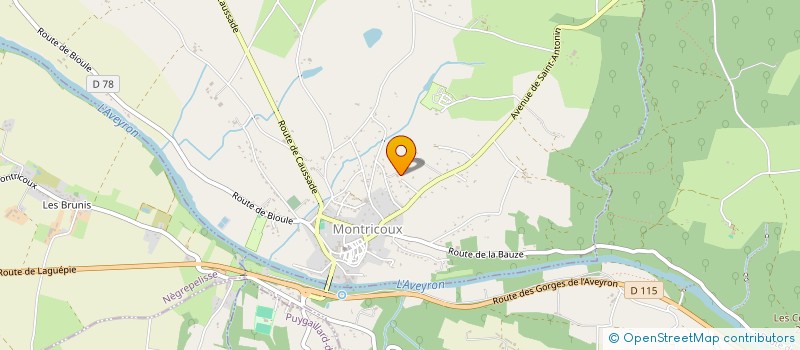 localisation de l'entreprise SCI DES GORGES DE L'AVEYRON  MONTRICOUX