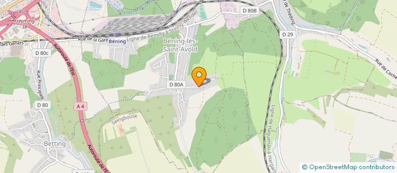 localisation de l'entreprise SCI DES GRENOUILLES  BENING-LES-SAINT-AVOLD