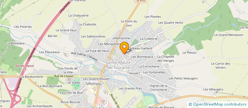 localisation de l'entreprise SCI DES HALLES  SAINTE-MAURE-DE-TOURAINE