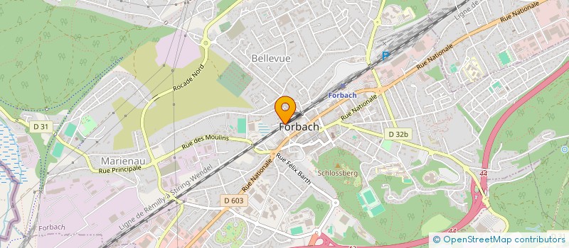 localisation de l'entreprise SCI DES HORTICULTEURS 2  FORBACH