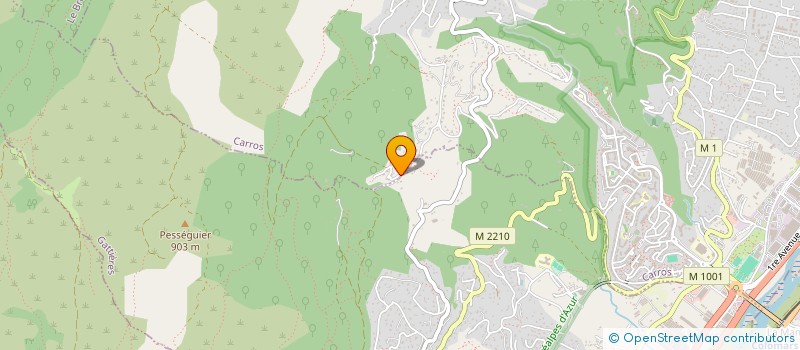 localisation de l'entreprise SCI DES ILES D'OR à CARROS