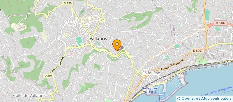 localisation de l'entreprise SCI DES MAGOTS à VALLAURIS