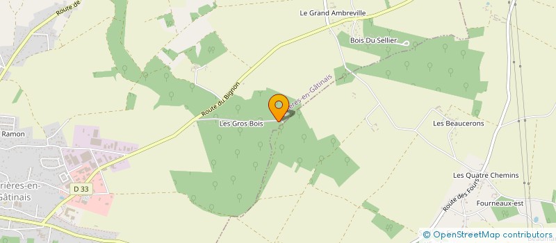 localisation de l'entreprise SCI DES MATHIVETS  FERRIERES-EN-GATINAIS