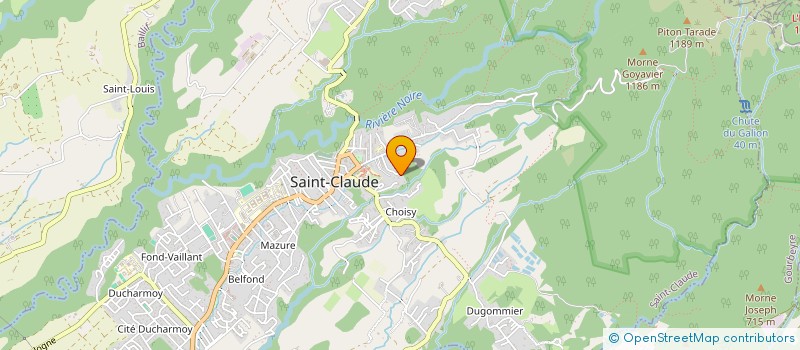 localisation de l'entreprise SCI DES PALMIERS à SAINT-CLAUDE