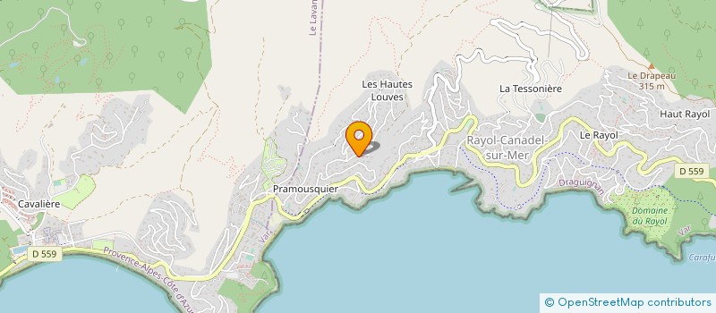 localisation de l'entreprise SCI DES RIVES DE LA VIEILLE à RAYOL-CANADEL-SUR-MER