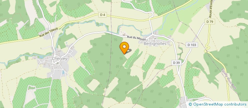 localisation de l'entreprise SCI DES RIVES DE SEINE  BOURGUIGNONS