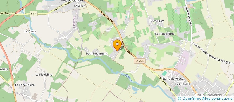 localisation de l'entreprise SCI DES SAULES  COUR-CHEVERNY