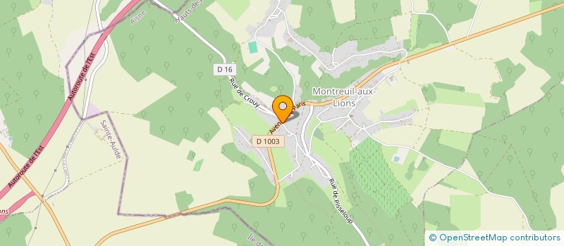 localisation de l'entreprise SCI DIAM26  MONTREUIL-AUX-LIONS