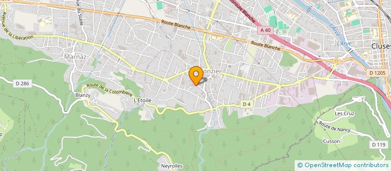 localisation de l'entreprise SCI DJAP  SCIONZIER