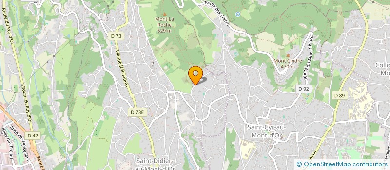 localisation de l'entreprise SCI DOMAINE DE LA ROCHELIERE  SAINT-DIDIER-AU-MONT-D'OR