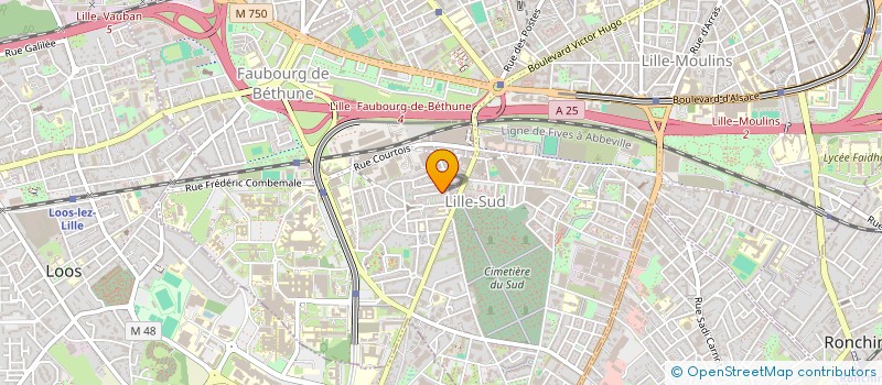 localisation de l'entreprise SCI DU 10 RUE DRUELLE à LILLE
