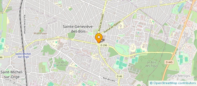 localisation de l'entreprise SCI DU 11 NOVEMBRE à SAINTE-GENEVIEVE-DES-BOIS