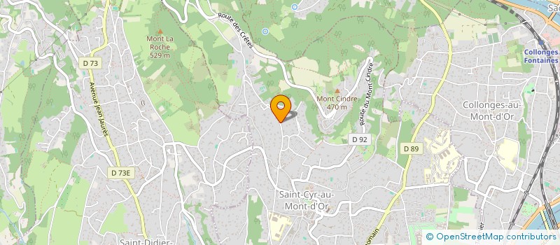 localisation de l'entreprise SCI DU 20 PETIT CHEMIN DES BRUYERES  SAINT-CYR-AU-MONT-D'OR