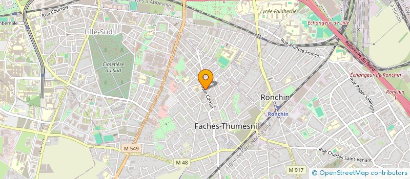 localisation de l'entreprise SCI DU 29 ZOLA  FACHES-THUMESNIL