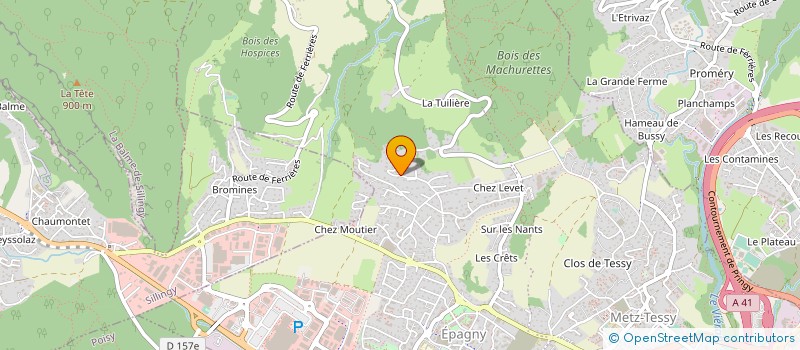 localisation de l'entreprise SCI DU 290 ROUTE DE ROGEMONT  EPAGNY METZ-TESSY