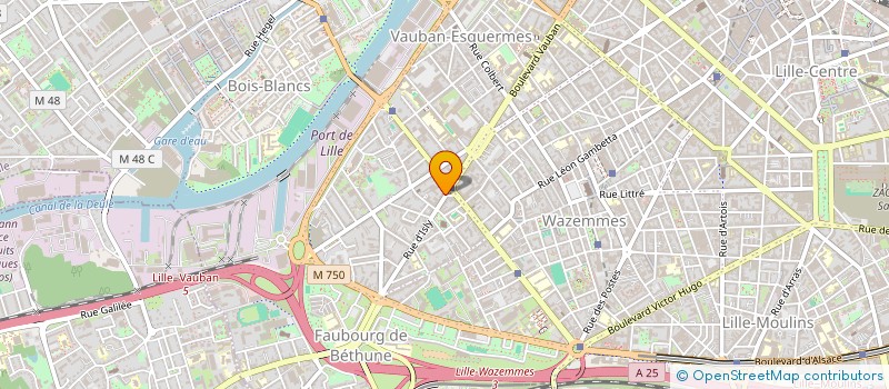 localisation de l'entreprise SCI DU 36 PLACE CORMONTAIGNE à LILLE