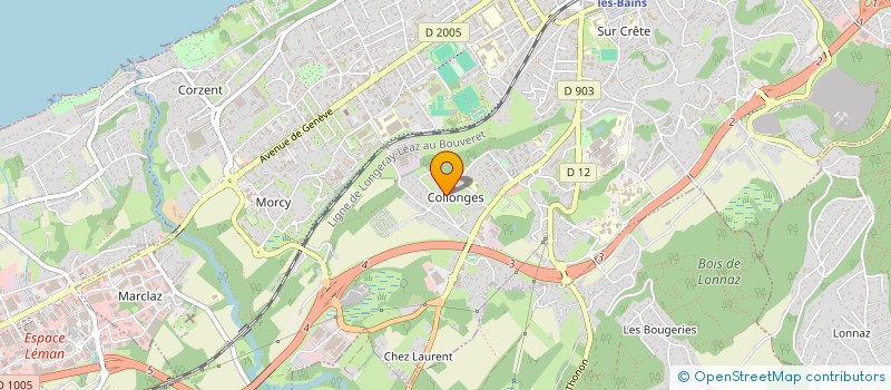 localisation de l'entreprise SCI DU 38 RUE DE PATAY à THONON-LES-BAINS